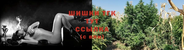 прущая мука Горняк