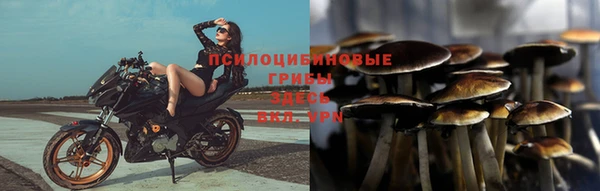 круглые Горно-Алтайск